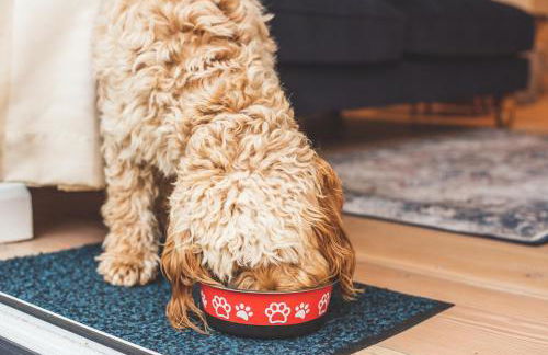 The Coastal Annexe, Stoke Fleming - Foto 47