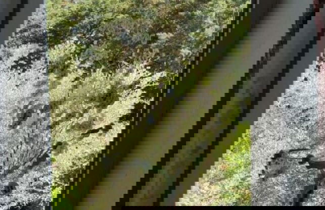 Oud Wijnhuis Mas - Foto 22