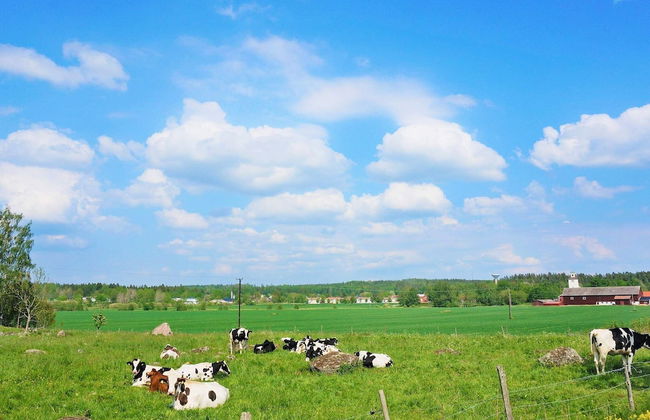 4 Person Holiday Home in Lyrestad-by Traum - Foto 10