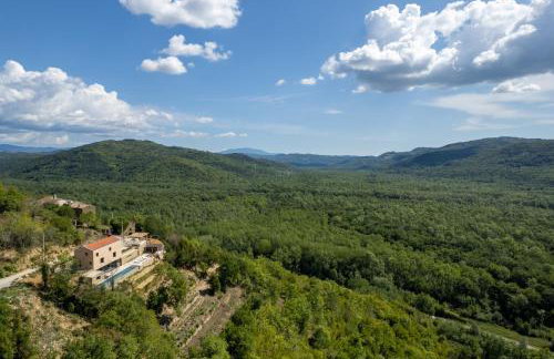 Villa Terra Motovun - Foto 45