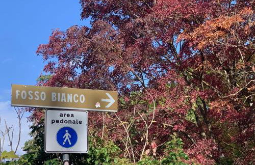 Amiter Bagni San Filippo - Foto 33