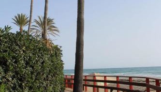 BEACH FOREST PARADISE - Foto 4