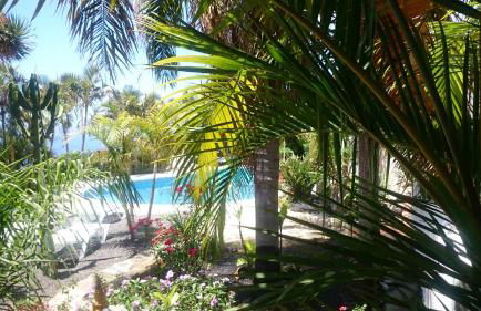 Apartamentos y Bungalows Finca Colón - Foto 32