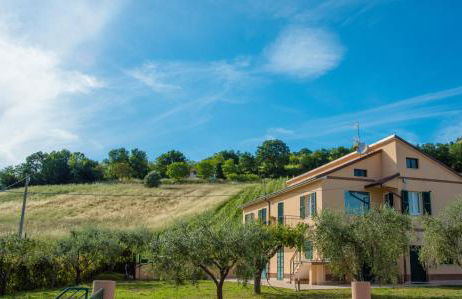 Le Vigne di Clementina Fabi - Foto 34