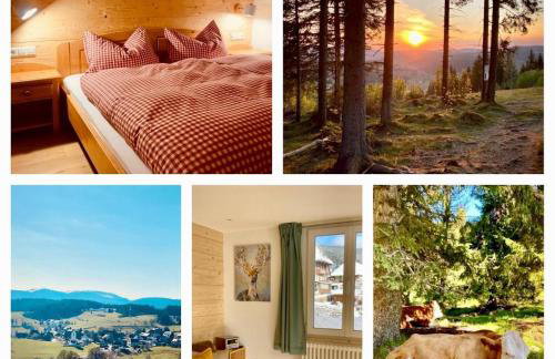 Gästehaus Steiert Fewo Kuhbergblick - Foto 1