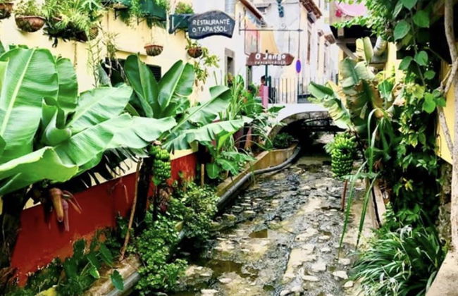 De Casa Villa - Foto 43