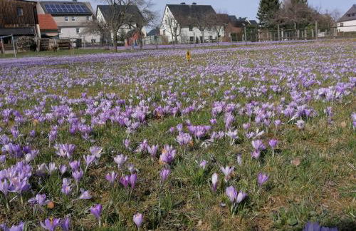 Holiday Home Ziller by Interhome - Foto 17