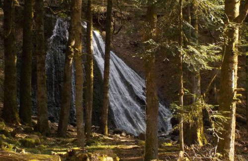 Chalet Las Abelhas - Foto 39