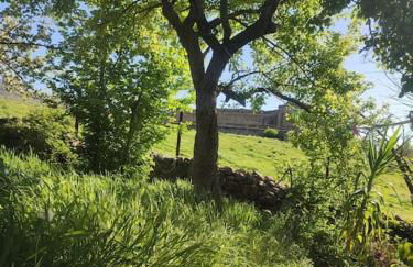 Tiny House en Piedrahita (Ávila) - Photo 6