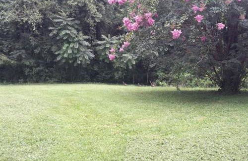 Romantic Suite Rental with Terrace and Chimenea near Gatlinburg, Tennessee - Foto 16