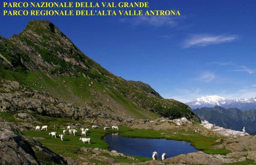 Cats & Breakfast - Foto 31