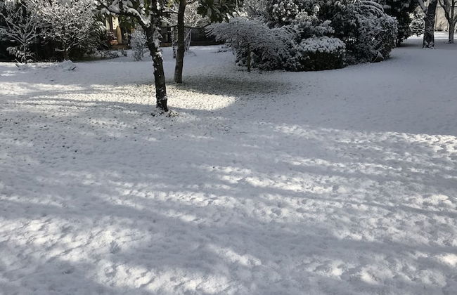 Sapanca Villa Natura Gol Evi - Foto 80