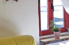 4Bs - Birds & Bicycles - Foto 10