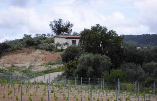 AGRITURISMO VIGNA DE' LUCERI - Foto 18