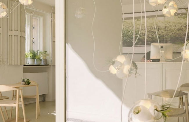 Wilmina Apartments & Lofts - Foto 4