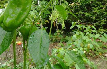 Maison Chez Marinette - Photo 47