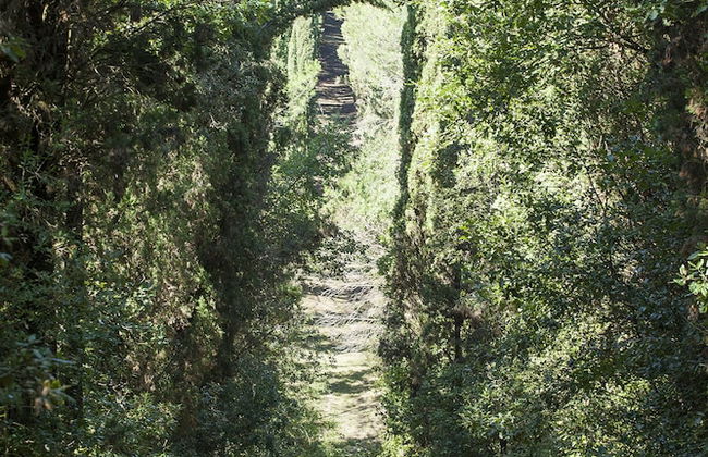 Farm House La Presura - Photo 56