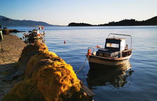 Hara's house - Foto 33