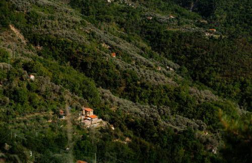 Nostro Rifugio - Foto 66