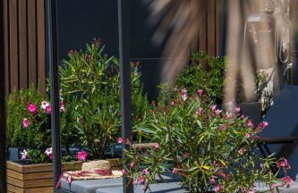 Sun and Sky - Foto 64