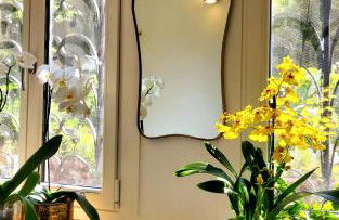 La Casa degli Specchi - Foto 41