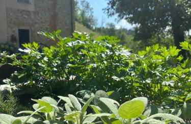 Cascina Burroni - Foto 16