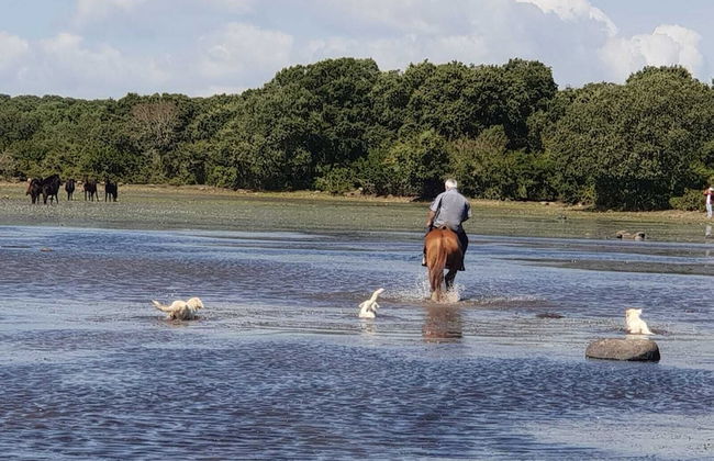 Location Sardinia Borgo Antico Xix Sec - Foto 79
