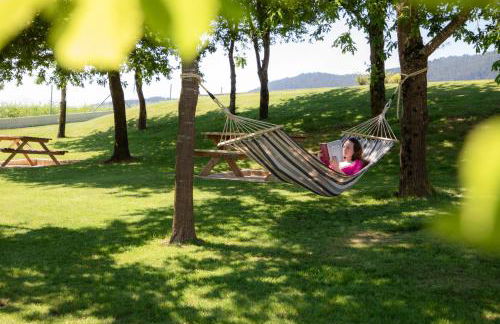 A Oliveira - Foto 52