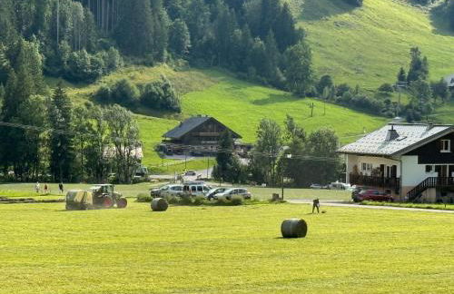 Le Flocon B - Appartement Cosy au pied des pistes - Foto 14