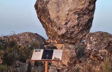 Vuelos de Montaña l - Foto 12