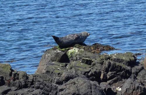 3 Knocknaha Cottage - Foto 29