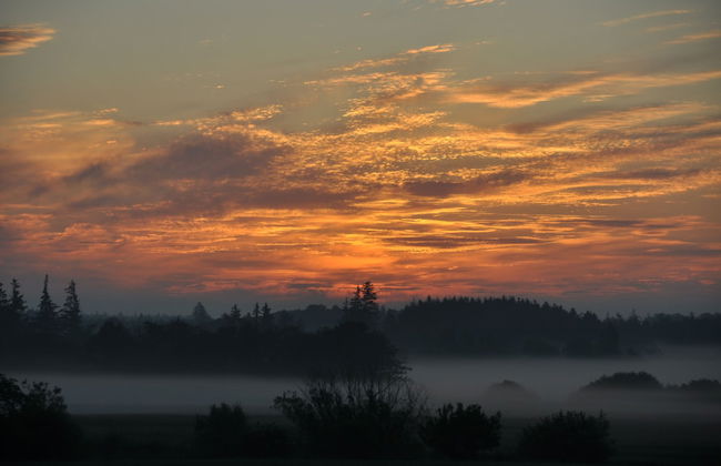 Fitting Landsbyferie Apartments - Foto 39