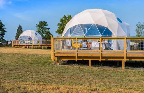 Faraway Geodome with Views - Photo 4
