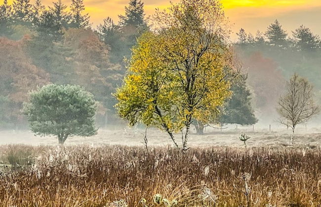 Stay at This Beautiful Accommodation in De Kiel - Photo 22