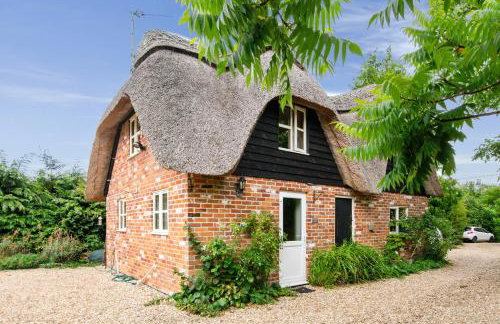 Charming thatched cottage near New Forest - Foto 1