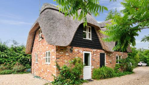 Charming thatched cottage near New Forest - Foto 1