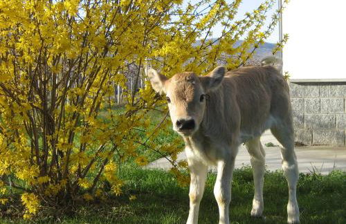 Agriturismo Fior Di Campo - Foto 82