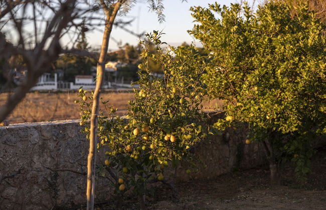 Porto Heli - Heaven on Earth Villa - Foto 69