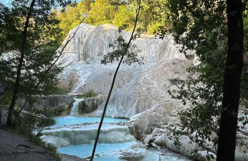 La Balena Rosa - Foto 27