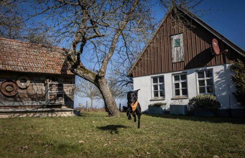 Ferienhaus Loft in der alten Schreinerei - Foto 40