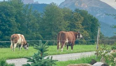 Oberstöberl - Photo 4