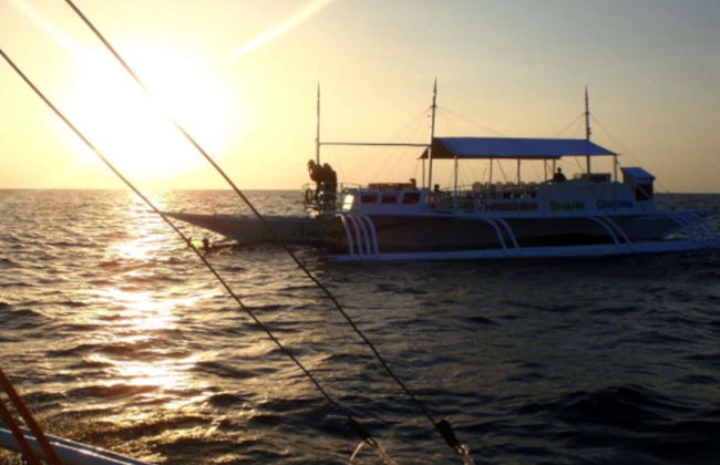 Plongée de nuit à Malapascua - Photo 5