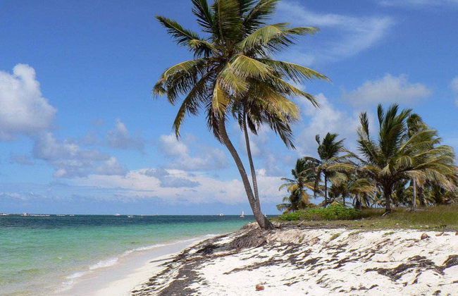 Scooter subaquática em Punta Cana - Foto 6