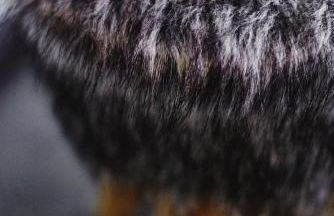 Cozy and Stylish with A-C in City Center! - Foto 17