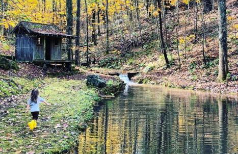 Bird's Nest cabin at Cabin Fever in NC - Foto 19