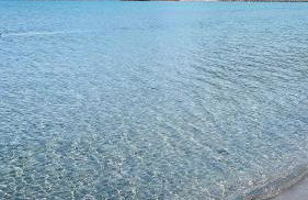 Emme Apartment - Foto 33