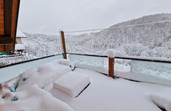 Vineyard cottage Matej - Foto 16