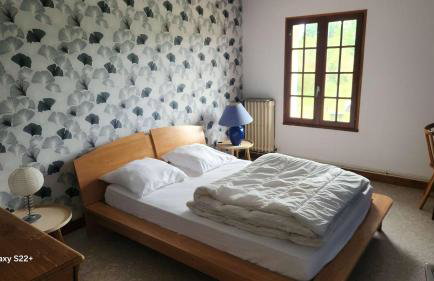 Spacious house with large garden in Valdivienne - Foto 2