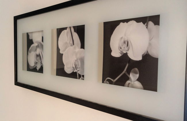 Italianway - Riva di Reno 47 B - Foto 1