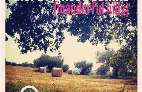 roseto holidays - Foto 22